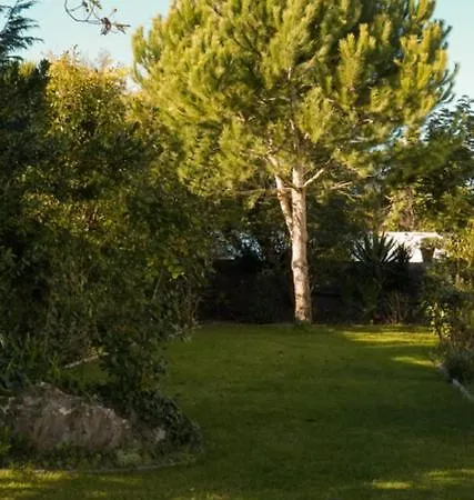 Διαμέρισμα Edles In Architektenvilla Mit Grossem Pool, Sauna, Dachterrasse Und Malerischem Garten