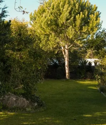 Apartamento Edles In Architektenvilla Mit Grossem Pool, Sauna, Dachterrasse Und Malerischem Garten